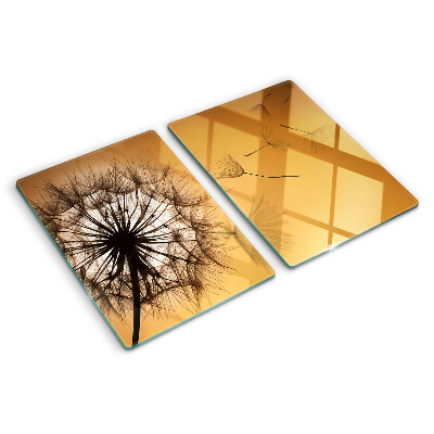 Schneidebrett glas Löwenzahn vor dem Hintergrund des Sonnenuntergangs