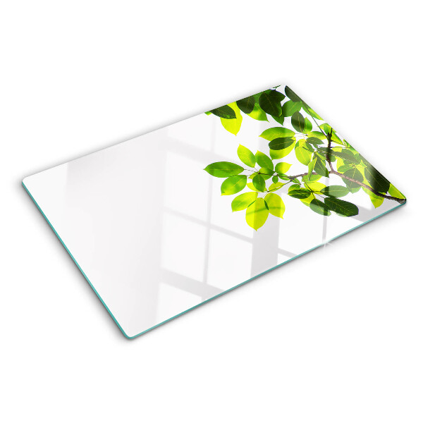 Schneidebrett Blätter vor hellem Himmel