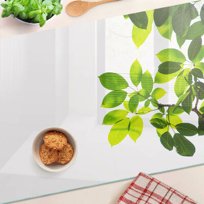 Schneidebrett Blätter vor hellem Himmel