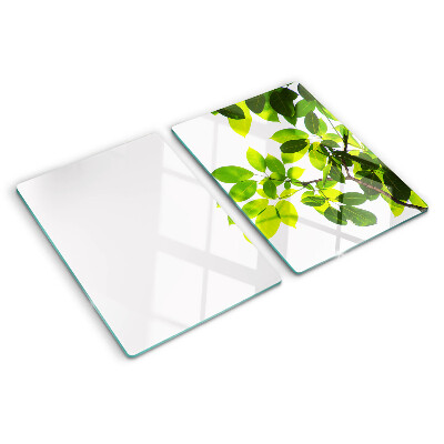 Schneidebrett Blätter vor hellem Himmel