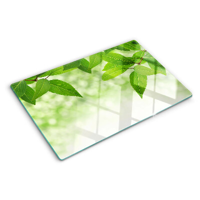 Glas schneidebrett Blätter vor einem verschwommenen grünen Hintergrund