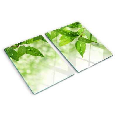 Glas-Schneidebrett mit Blattmotiv vor verschwommenem grünen Hintergrund
