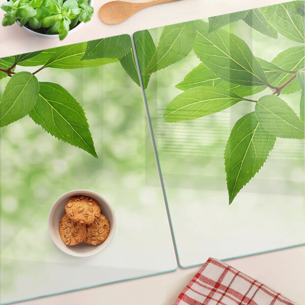 Glas-Schneidebrett mit Blattmotiv vor verschwommenem grünen Hintergrund