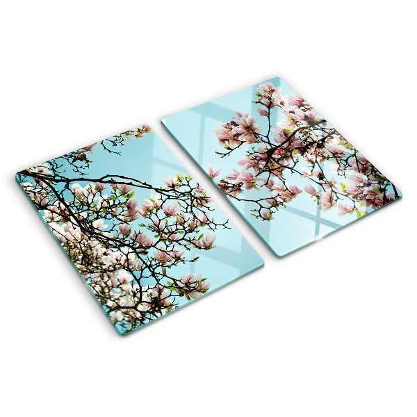 Glas-Schneidebrett mit Magnolienblüten auf blauem Hintergrund
