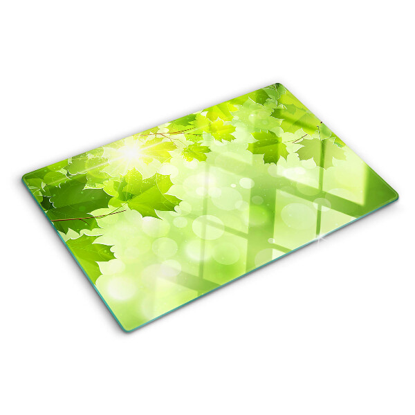 Schneidebrett glas Blätter in den Sonnenstrahlen