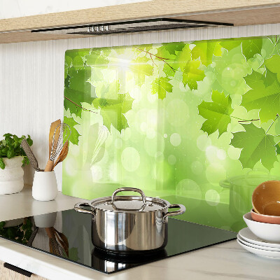 Schneidebrett glas Blätter in den Sonnenstrahlen