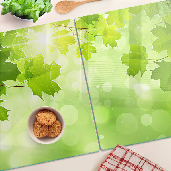 Schneidebrett glas Blätter in den Sonnenstrahlen