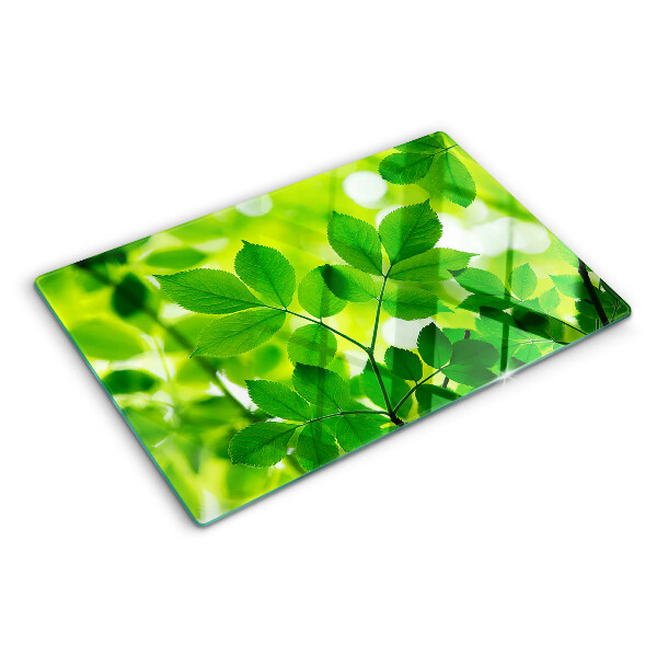 Schneidebrett Blätter auf grünem Hintergrund