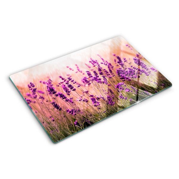 Glas schneidebrett Lavendelfeld im Sonnenschein