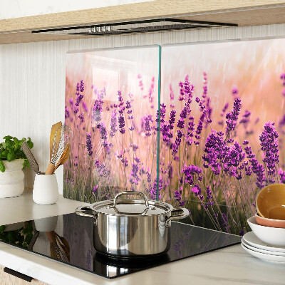 Glas schneidebrett Lavendelfeld im Sonnenschein