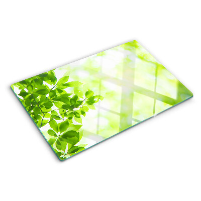 Glas schneidebrett Grüne Blätter im Licht