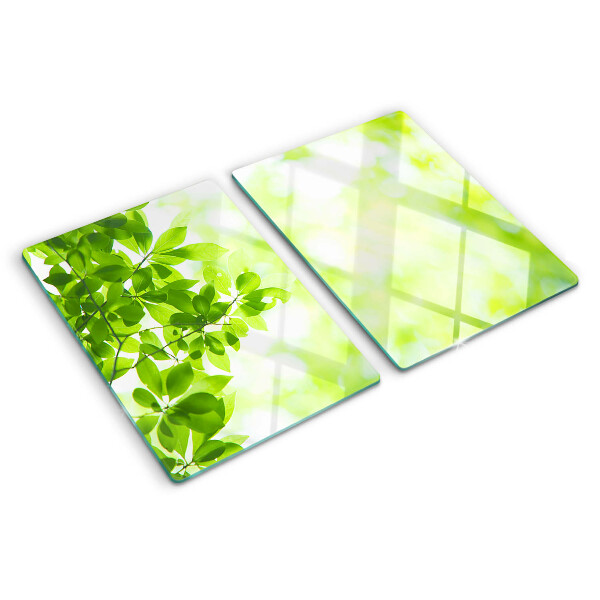 Glas schneidebrett Grüne Blätter im Licht