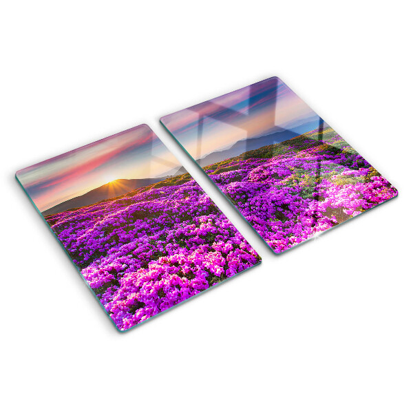 Schneidebrett glas Blumenlandschaft bei Sonnenuntergang