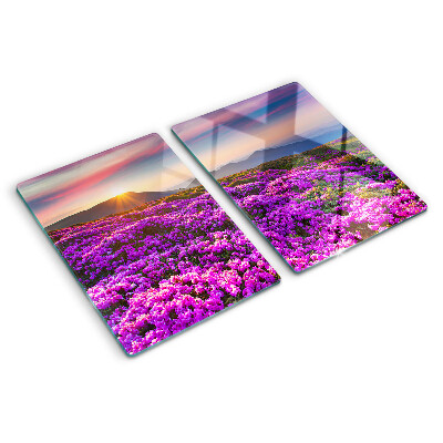 Schneidebrett glas Blumenlandschaft bei Sonnenuntergang