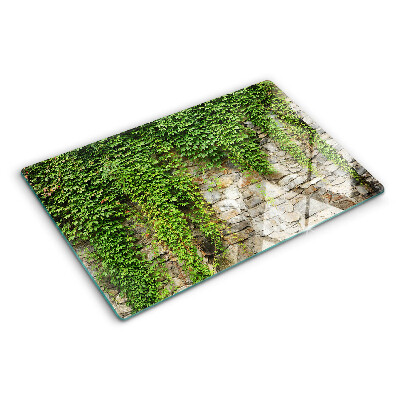 Glas schneidebrett Grüne Wand mit Moos