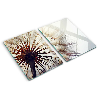 Schneidebrett glas Löwenzahn im Licht