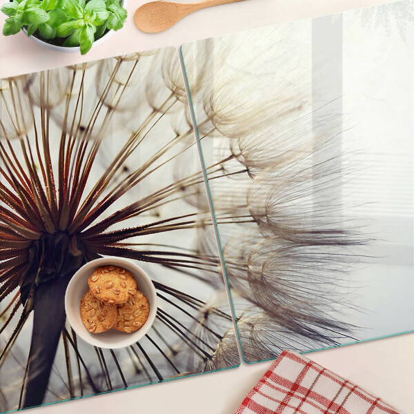 Schneidebrett glas Löwenzahn im Licht