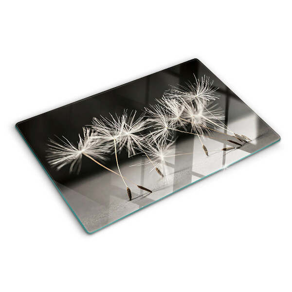 Glas Schneidebrett mit flauschigen Löwenzahnblüten auf einfarbigem Hintergrund