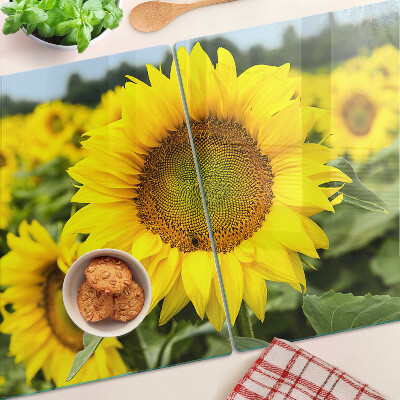 Schneidebrett glas Sonnenblumen vor grünem Hintergrund