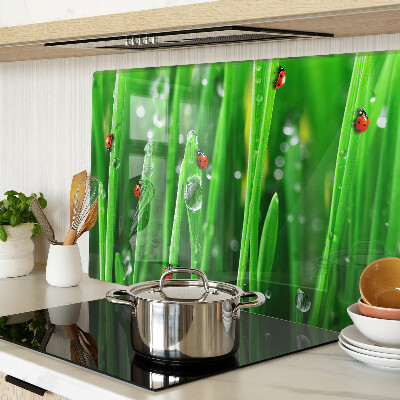 Schneidebrett glas Wassertropfen auf dem Gras mit Marienkäfern