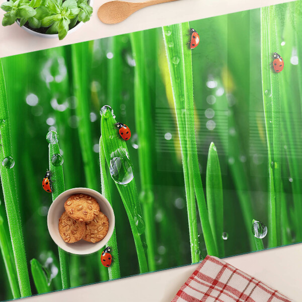 Schneidebrett glas Wassertropfen auf dem Gras mit Marienkäfern