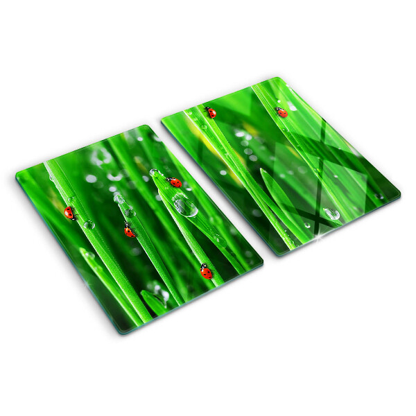 Schneidebrett glas Wassertropfen auf dem Gras mit Marienkäfern
