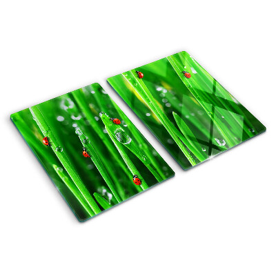 Schneidebrett glas Wassertropfen auf dem Gras mit Marienkäfern