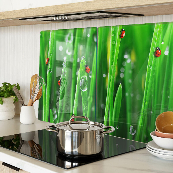 Schneidebrett glas Wassertropfen auf dem Gras mit Marienkäfern