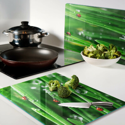 Schneidebrett glas Wassertropfen auf dem Gras mit Marienkäfern