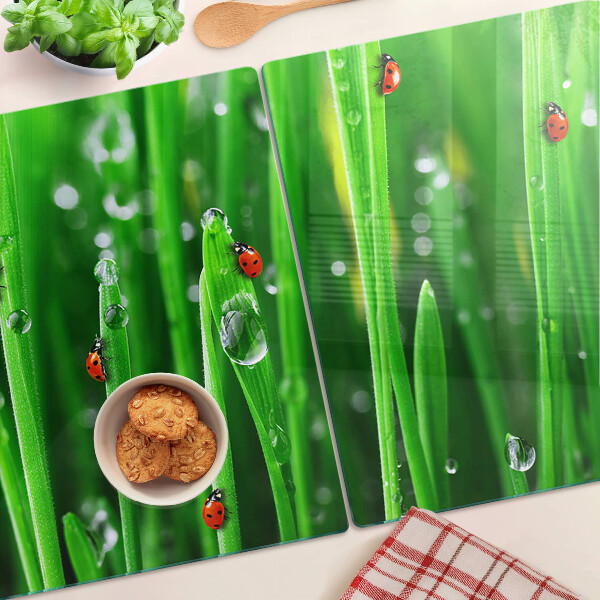 Schneidebrett Glas mit Motiv Wassertropfen auf Gras und Marienkäfern