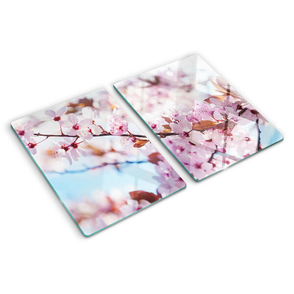 Schneidebrett glas Kirschblüten auf blauem Hintergrund