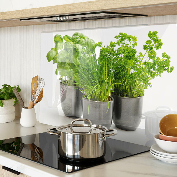 Glas schneidebrett Kräuter in Töpfen