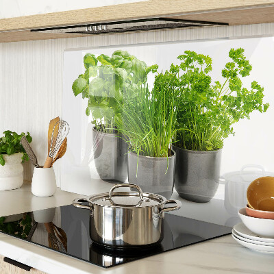 Glas schneidebrett Kräuter in Töpfen