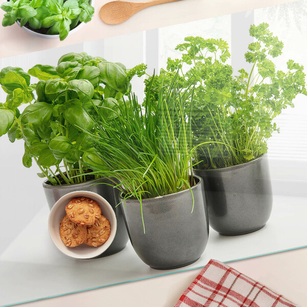 Glas schneidebrett Kräuter in Töpfen