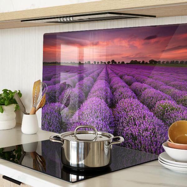 Schneidebrett Lavendelfeld bei Sonnenuntergang