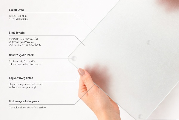 Schneidebrett Glas in rechteckiger Form aus halbtransparentem Material