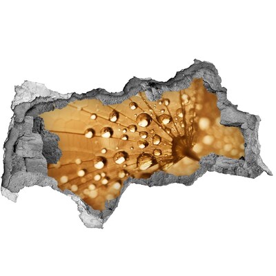 Wandbilder 3D Mauerdurchbruch Tropfen auf einem Blatt
