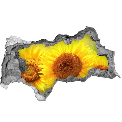 3D Wandtattoos Mauerdurchbruch Sonnenblume aus Beton