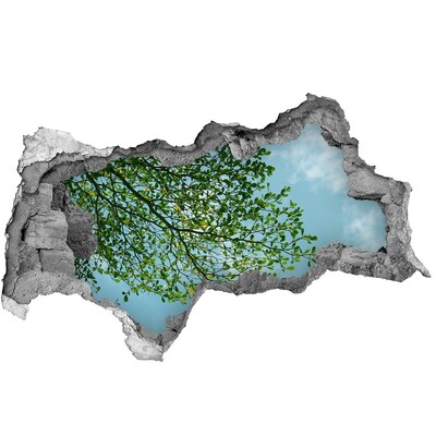 3D Wandtattoos Mauerdurchbruch Grüne Blätter unter blauem Himmel