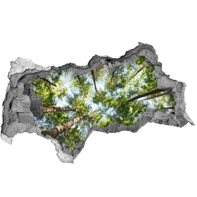 Wandtattoos Mauerdurchbruch Blick auf den Wald bei blauem Himmel