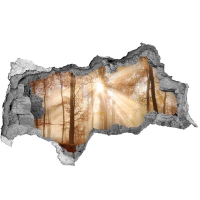 Wandbilder 3D Mauerdurchbruch Waldpass der Sonne