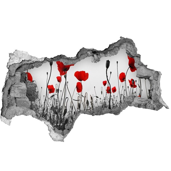 Wandbilder 3D Mauerdurchbruch Blumen in den Ruinen