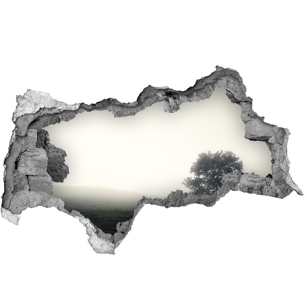 Wandbilder 3D Mauerdurchbruch Eine neblige Lichtung mit einem einsamen Baum