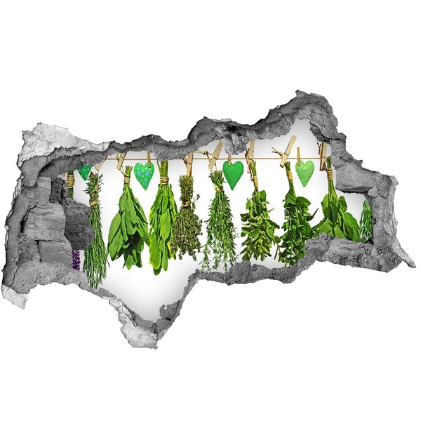 Wandbilder 3D Mauerdurchbruch Kräutergarten im kleinen Rahmen