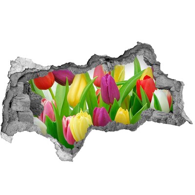 Wandbilder 3D Mauerdurchbruch Ein Blumenparadies mit Tulpen