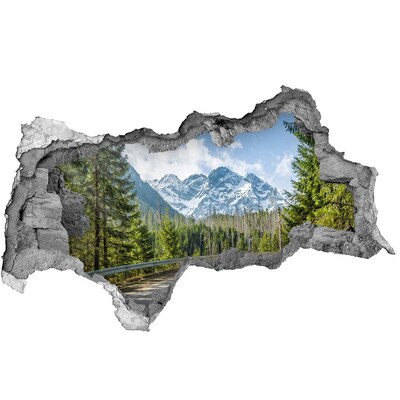 Wandbilder 3D Mauerdurchbruch Berglandschaft hinter dem Loch in der Wand