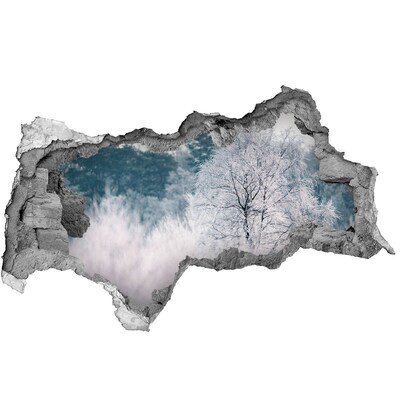 Wandbilder 3D Mauerdurchbruch Winterlandschaft hinter dem Loch in der Wand