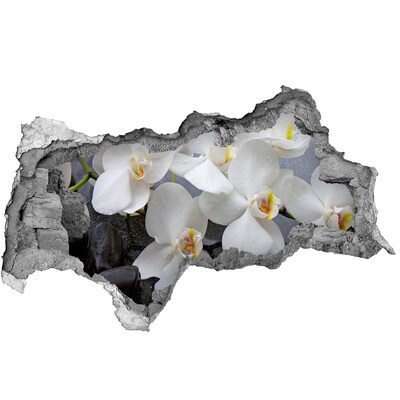 Wandbilder 3D Mauerdurchbruch Orchideenblüten im Wasser