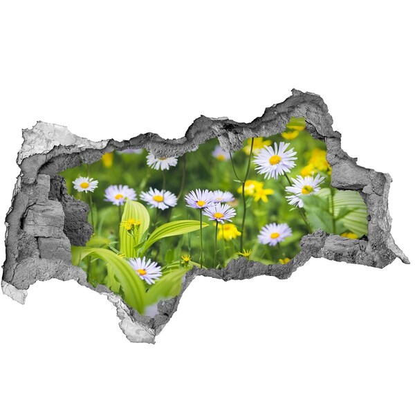 Wandbilder 3D Mauerdurchbruch Ein Blumenparadies hinter der Mauer