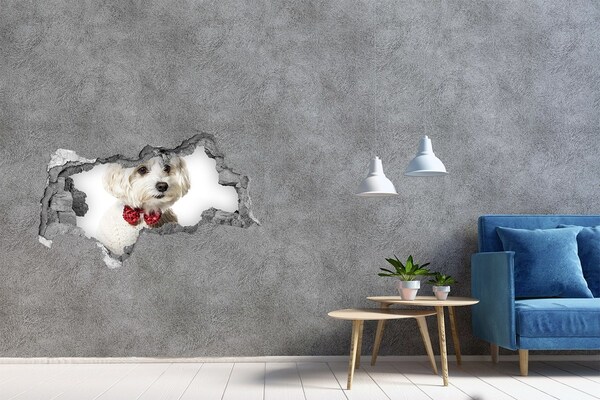 Wandbilder 3D Mauerdurchbruch Hund im Pullover durch ein Loch in der Wand